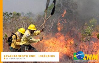 Estudo atualizado pela CNM mostra que mais de 11 milhões de pessoas foram diretamente afetadas por incêndios