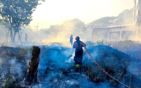 178 pessoas já foram detidas por crimes ambientais no AM, afirma governo