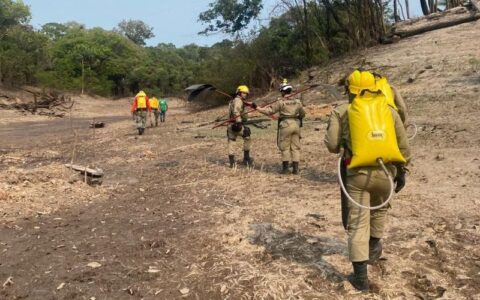 Unidades de Conservação do Baixo Rio Negro recebem ações de combate integrado a focos de incêndio