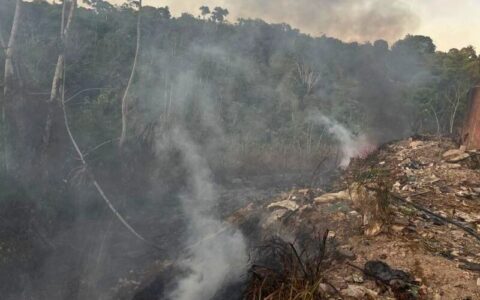 Incêndio em área de mata na zona Leste já dura uma semana
