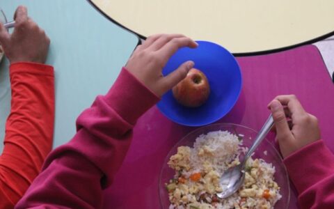 Conselho Nacional de Segurança Alimentar pede reajuste dos valores da merenda escolar em 2025