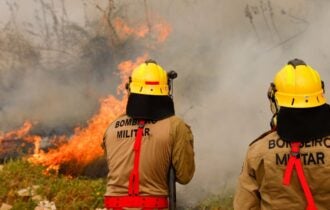 'Deserto de vida': incêndios florestais ameaçam sociobiodiversidade da Amazônia