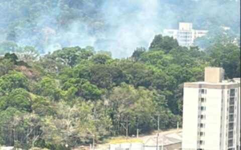 Incêndio atinge área de mata do condomínio Alphaville, na Ponta Negra