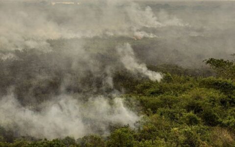 Militares do Exército começam a combater incêndios no Tocantins