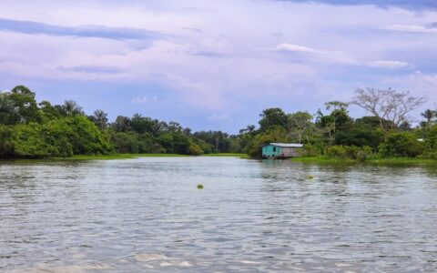 Rios na Amazônia têm risco muito alto de contaminação por mercúrio