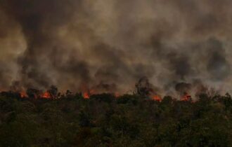 Secretário do Meio Ambiente vê conotação politica em queimadas na Amazônia