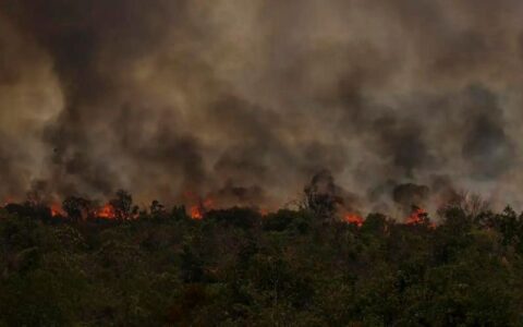 Secretário do Meio Ambiente vê conotação politica em queimadas na Amazônia