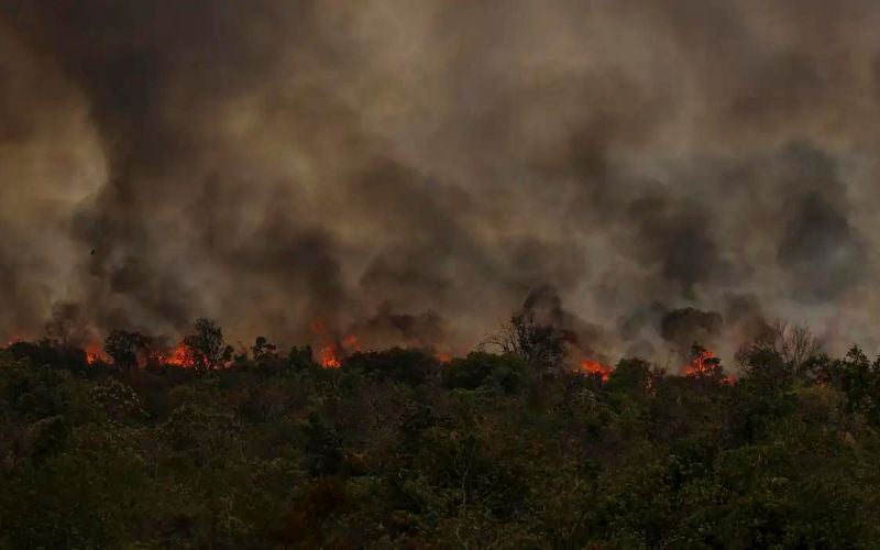 Secretário do Meio Ambiente vê conotação politica em queimadas na Amazônia