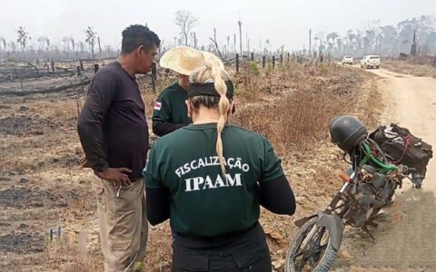 Ipaam aplica mais de R$ 100 milhões em multas, em 140 dias de operação no sul do Amazonas