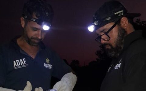 Campanha de vacinação contra a raiva dos herbívoros segue até novembro em 6 municípios