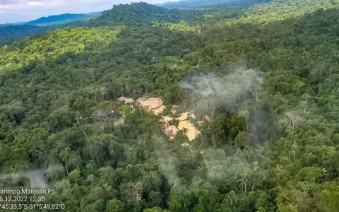 Tapauá não deve abrir ramais em áreas próximas de terras indígenas, recomenda MP