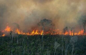 Defesa Civil alerta para possibilidade de incêndio florestal em 12 municípios do AM