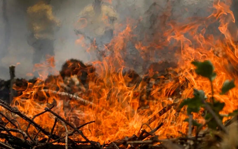 Os estados da Amazônia legal devem ser ouvidos no dia 19 de setembro