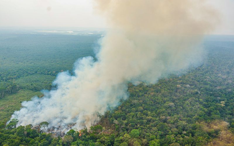 fumaça ara poluído amazonas (Foto: Ricardo Stuckert / PR)