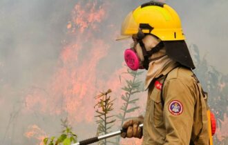 Incêndio queima 10 mil hectares do Parque da Chapada dos Veadeiros