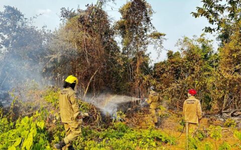 Em Iranduba, força-tarefa combate mais de 300 focos de incêndio em 24 horas