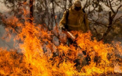 Entenda as linhas de investigação dos incêndios florestais no país
