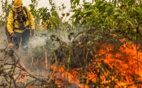 Focos de incêndios no Brasil já são 76% maiores que em 2023