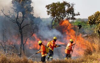 MP que facilita repasses para combate a incêndios chega ao Congresso