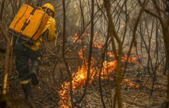 Projeto de lei aumenta pena e multa para incêndios intencionais