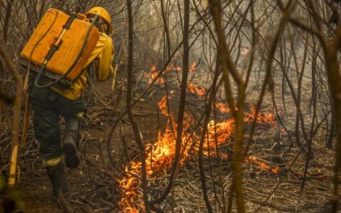 Projeto de lei aumenta pena e multa para incêndios intencionais