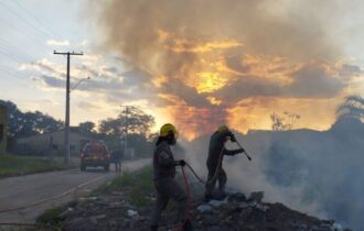 Presos dois suspeitos de provocar incêndios na Amazônia