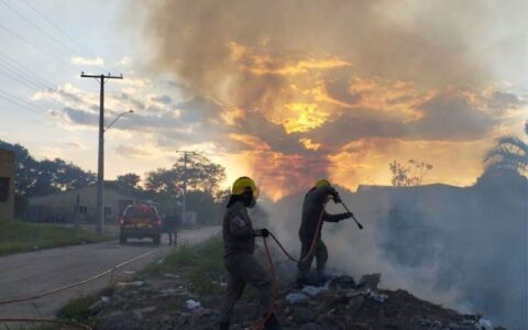 Presos dois suspeitos de provocar incêndios na Amazônia