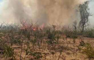 Povos indígenas de Mato Grosso