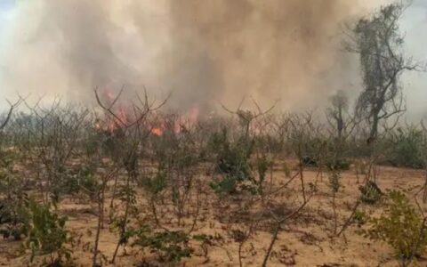 Povos indígenas de Mato Grosso