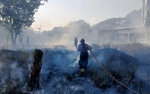 Manaus registra 18 incêndios em áreas de vegetação nas últimas 24 horas