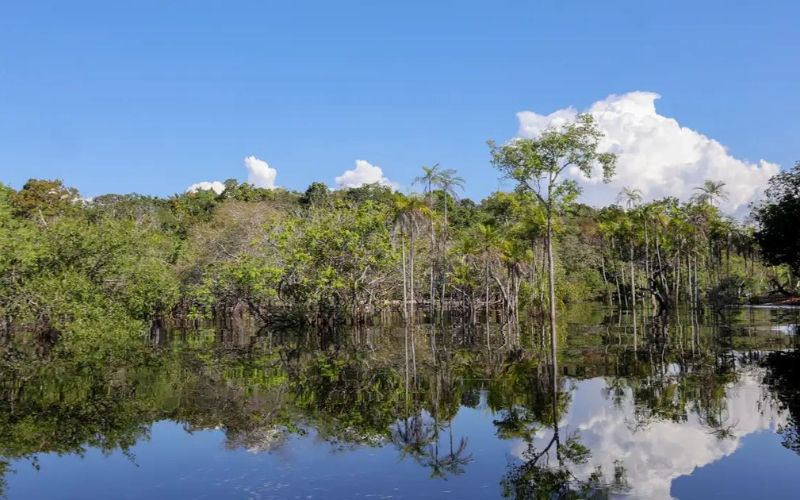 rio-negro-pode-passar-por-pior