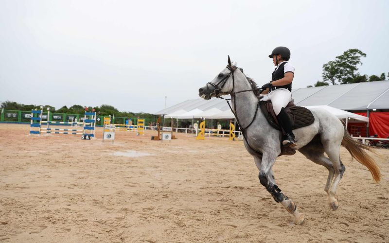 show-de-hipismo-leva-atletas-d