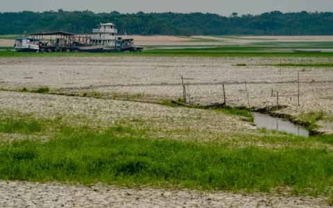 Julho e agosto terão chuvas abaixo da média e risco de queimadas na Amazônia, alerta Inmet