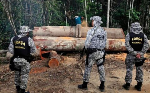 Padilha diz que governo pediu urgência na Câmara para aumentar penas para crimes ambientais