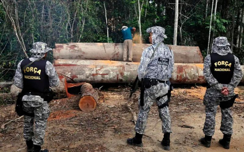 Padilha diz que governo pediu urgência na Câmara para aumentar penas para crimes ambientais