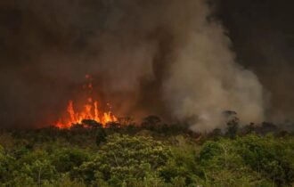 Brasil registra 22,38 milhões de hectares queimados em nove meses