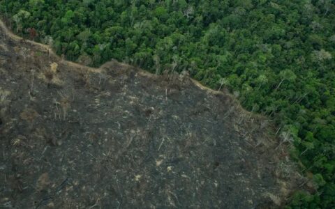 imagens-mostram-novas-areas-de