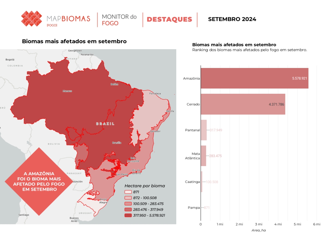 Dados MapBiomas Queimadas - Foto: (Reprodução/ MapBiomas)