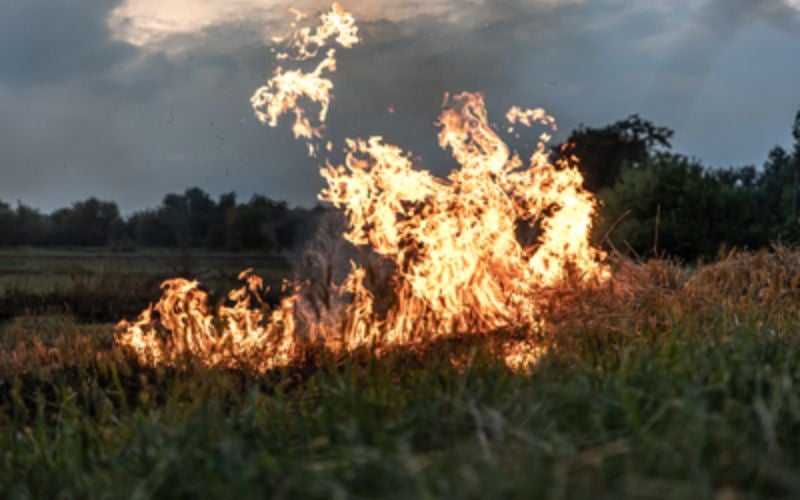 Justiça autoriza ações contra suspeitos de desmatamento e uso de fogo em terras no AM
