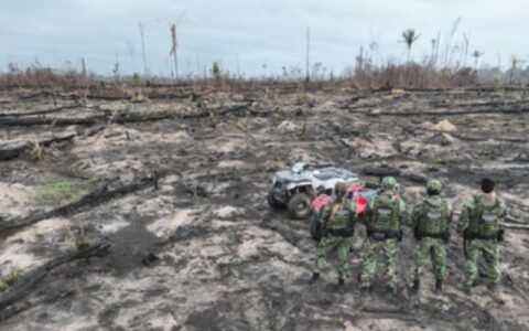mpf-denuncia-acusados-por-crim