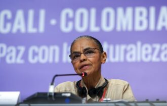 na-cop-16-marina-silva-defende