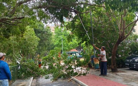Prefeitura realiza poda de árvores no passeio do Mindu para melhorar segurança e visibilidade