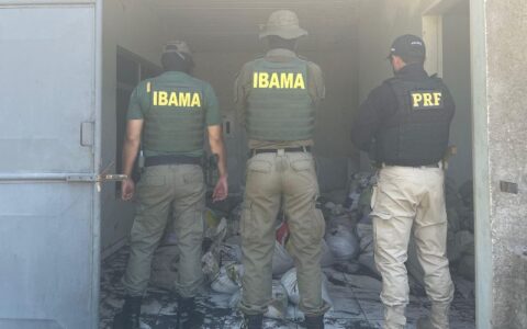 prf-e-ibama-apreedem-nove-tone