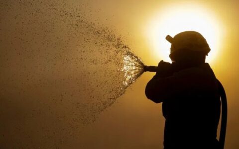 STF suspende processos sobre combate a incêndios na Amazônia e no Pantanal