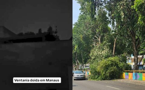 Ventos fortes assustam população de Manaus durante a madrugada deste domingo (13)