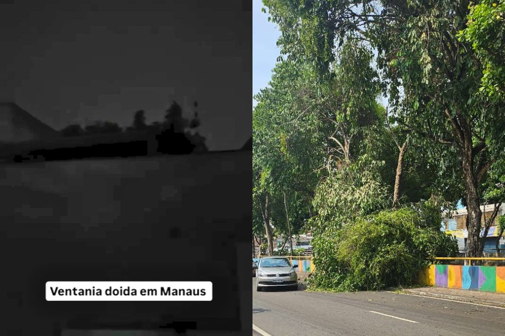 Ventos fortes assustam população de Manaus durante a madrugada deste domingo (13)
