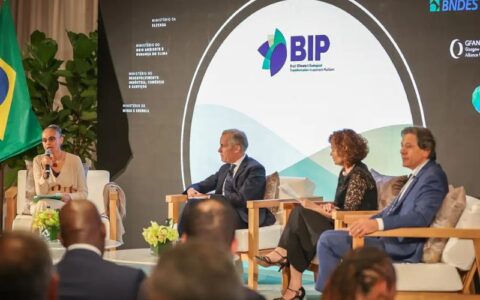Brasil lança plataforma para atrair investimentos em projetos ambientais e sociais