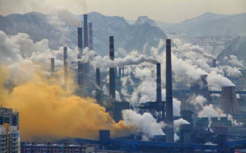 Congresso pode regulamentar mercado de carbono antes da COP 29