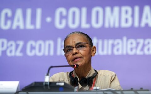 na-cop-16-marina-silva-defende