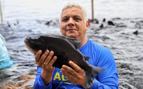 cerca-de-90-mil-pescadores-do-